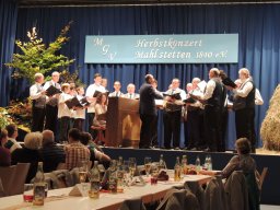 2015_Jubiläum_Konzerte_und_Auftritte_2