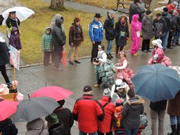 2016_Fasnet_Umzug