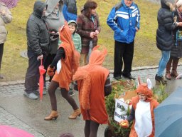 2016_Fasnet_Umzug