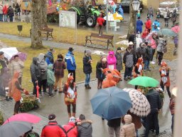 2016_Fasnet_Umzug