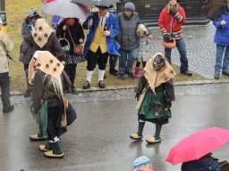 2016_Fasnet_Umzug