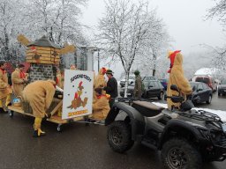 2017_Fasnet_Umzug