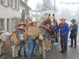 2017_Fasnet_Umzug