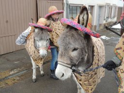 2017_Fasnet_Umzug