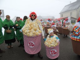 2017_Fasnet_Umzug