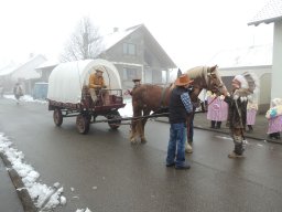 2017_Fasnet_Umzug