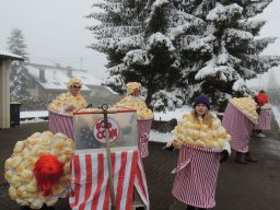 2017_Fasnet_Umzug