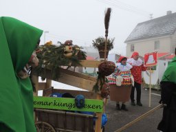 2017_Fasnet_Umzug