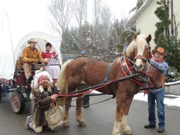 2017_Fasnet_Umzug