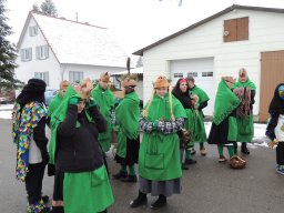 2017_Fasnet_Umzug