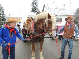 2017_Fasnet_Umzug