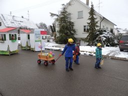 2017_Fasnet_Umzug