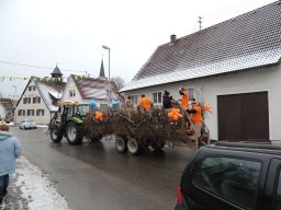 2017_Fasnet_Umzug