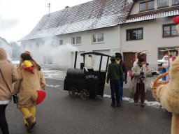 2017_Fasnet_Umzug